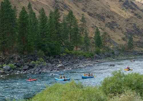 Salmon River