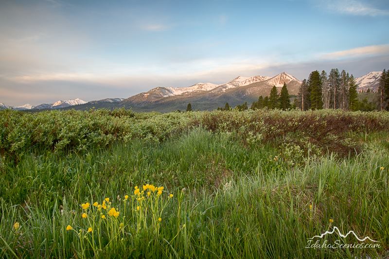 Sawtooths