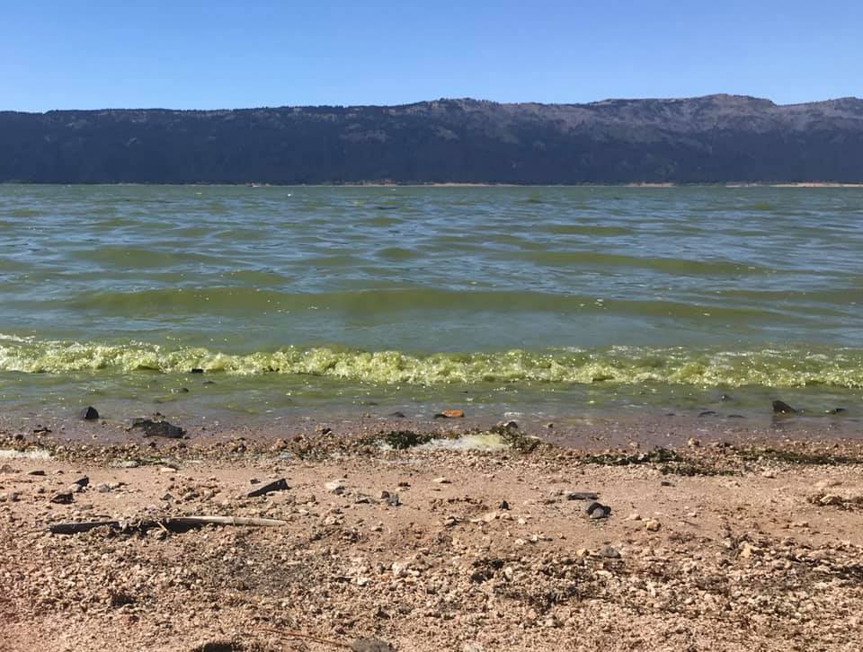 Algae outbreak in Lake Cascade 2018_2_Kelly Koehler Ponder