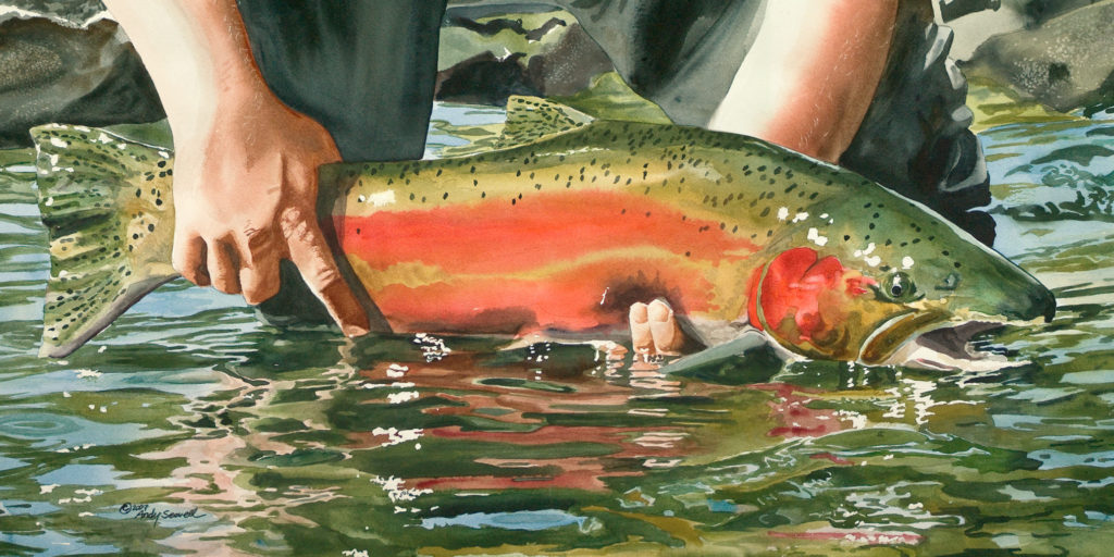 Painting of steelhead fish