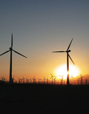 Windmills at sunset