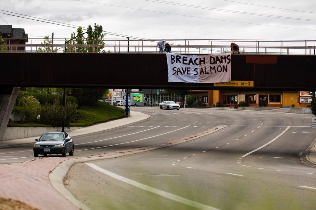 Youth Salmon Protectors hang a banner reading "Breach Dams Save Salmon" at the Vista Overpass