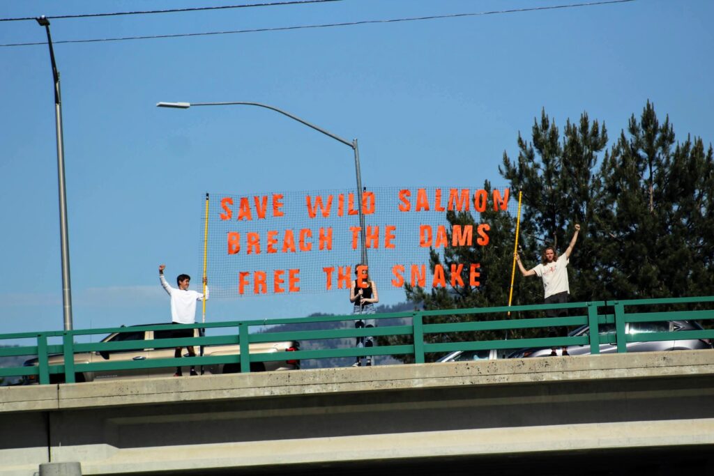 Youth Salmon Protectors hold a banner on the Curtis Rd Freeway Overpass in Boise, ID