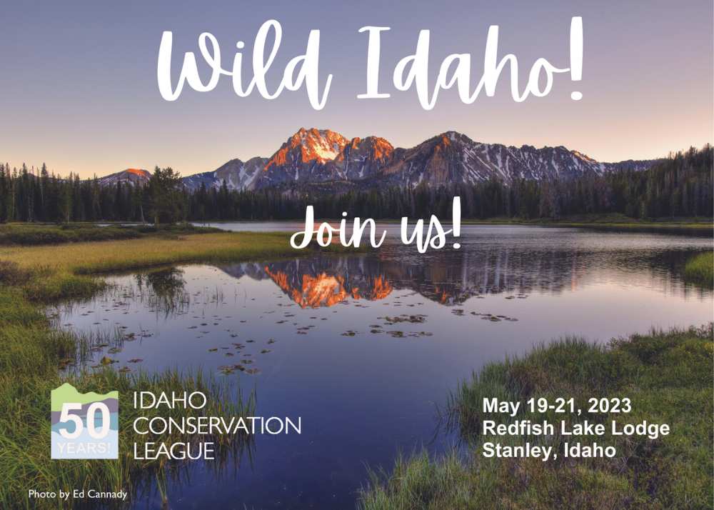 Wild Idaho! 2023 Invitation